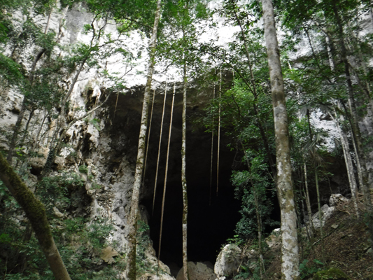 cave2