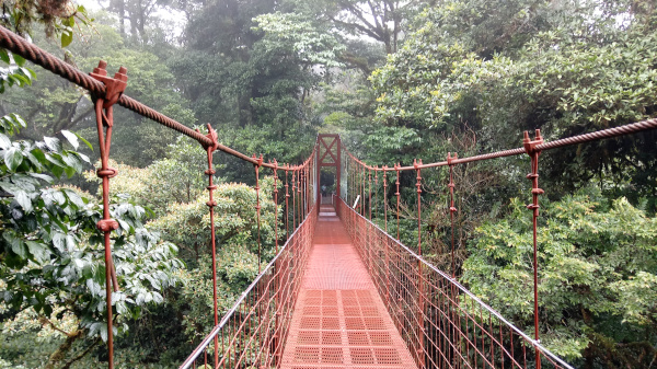 monteverde1