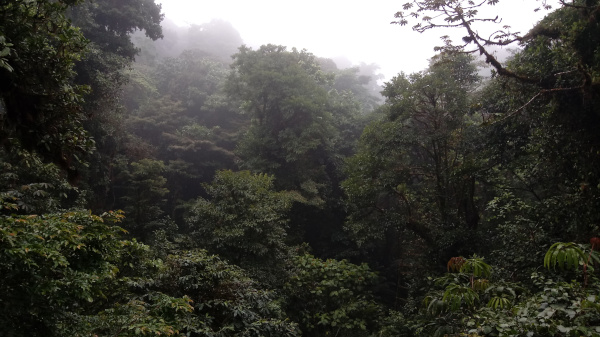 monteverde2