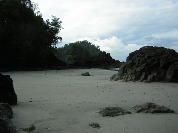 pacific-coast-manuel-antonio.jpg