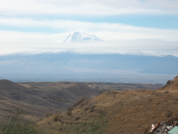 Ararat5