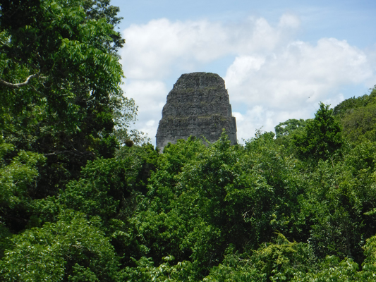 tikal13