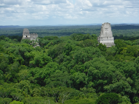 tikal14