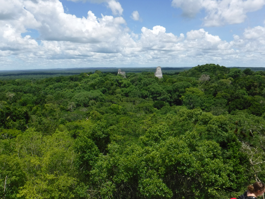 tikal15