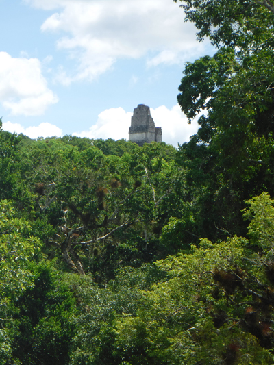 tikal16