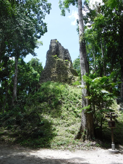 tikal3