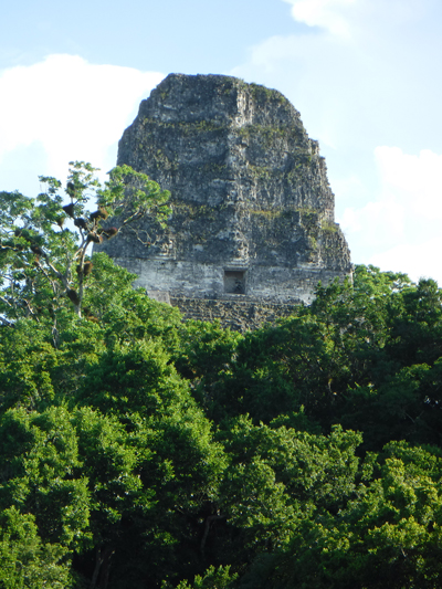 tikal34