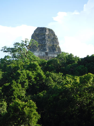 tikal35