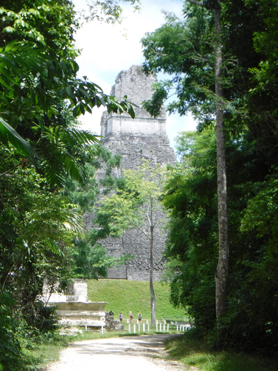 tikal4