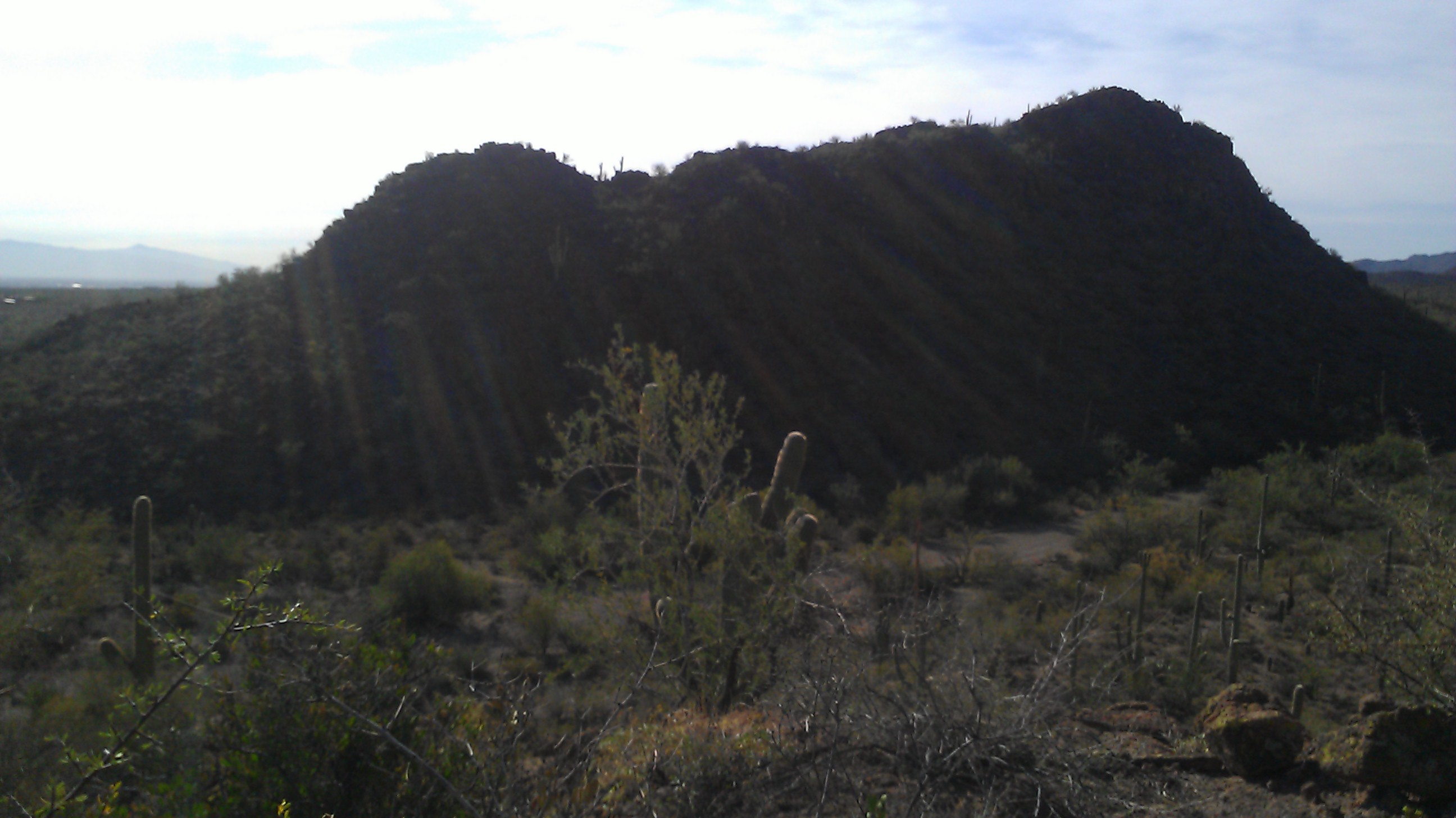 Sonora Desert