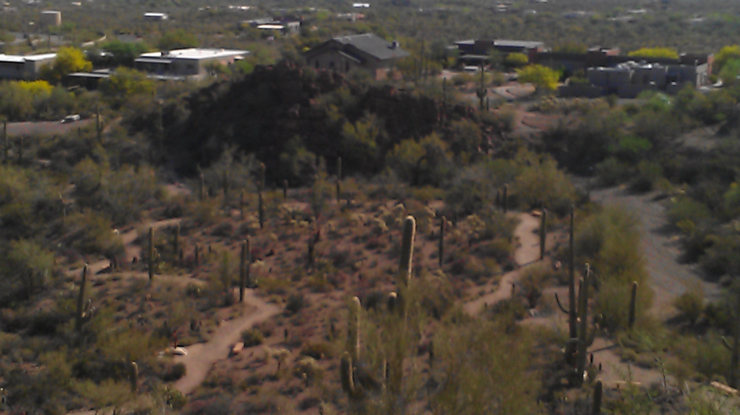 Sonora Desert