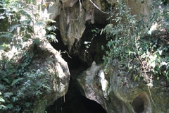 039-(1)---Copy