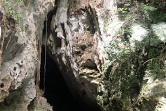 0710180916b