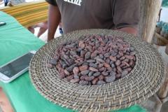 chocolate3