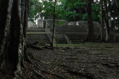 caracol1