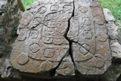 caracol10