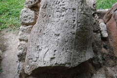 caracol11