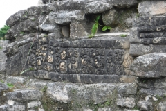 caracol19