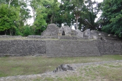 caracol2