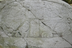 caracol9