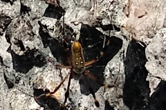 0708181133a