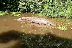 costarica11