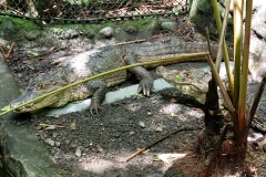 costarica12