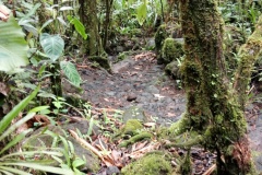 costarica19