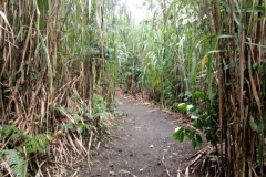 costarica23