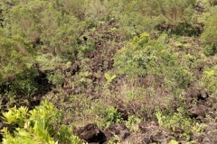 costarica25