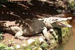 costarica3