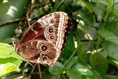 costarica4