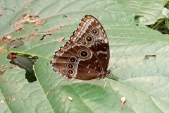costarica5