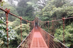monteverde1
