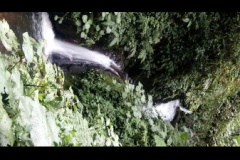 monteverde17