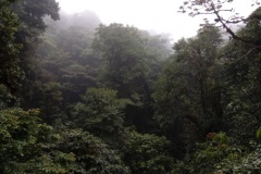 monteverde2