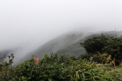 monteverde6