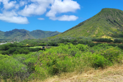 20240708_125208-scaled