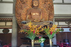 20240708_142645-scaled