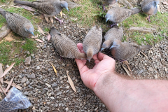 20240708_143747-scaled