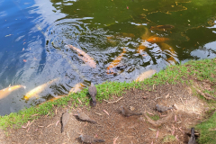 20240708_144229-scaled