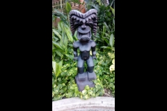 hawaii50