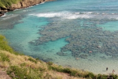 hawaii6