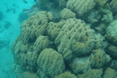 DSCF0367