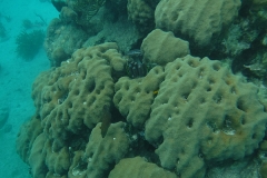 DSCF0369