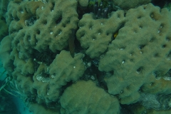 DSCF0371