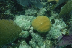 DSCF0376