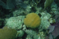 DSCF0377