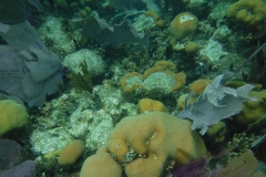 DSCF0379