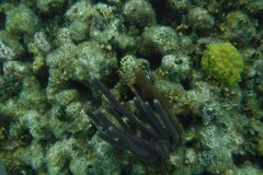DSCF0402